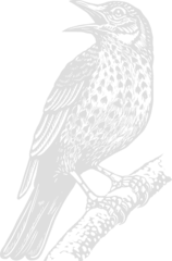 Changement de Régime (Extinction Rebellion France)