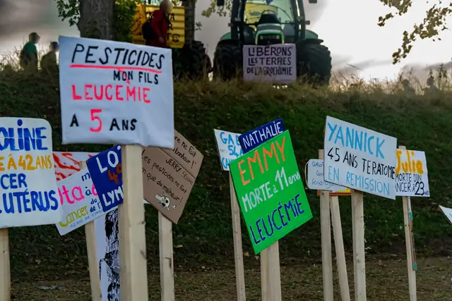 لافتات المقبرة: «المبيدات، ابني، سرطان الدم في سن 5» (Pesticides, mon fils, leucémie à 5 ans)، «إيمي، ماتت في سن 11، سرطان الدم» (Emmy, morte à 11 ans, leucémie)